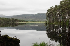 Loch Mallachie