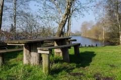 Picknicktisch im Goldmoor