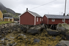 In Nusfjord: Rorbu von hinten