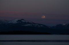 Blaue Stunde am Moldefjord